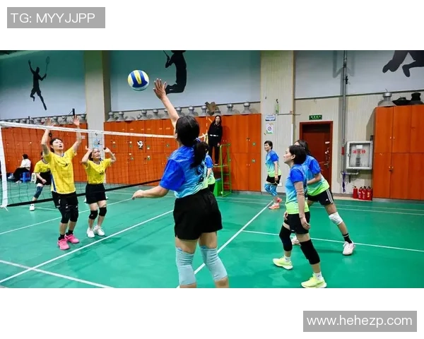 成都排球队荣登排球节奏排行榜第六名展现实力与魅力